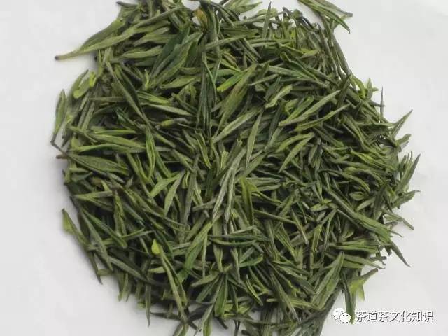 茶友解析：苍山雪绿茶