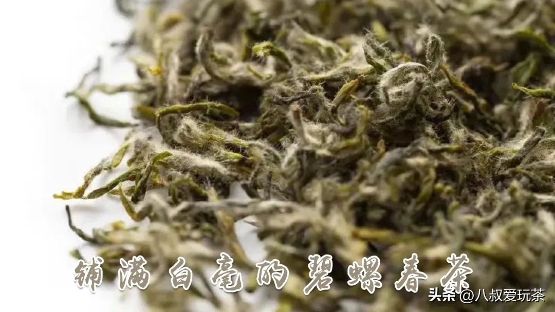 洞庭山碧螺春是什么茶？跟卷毛一样，为何是“天下第一茶”？