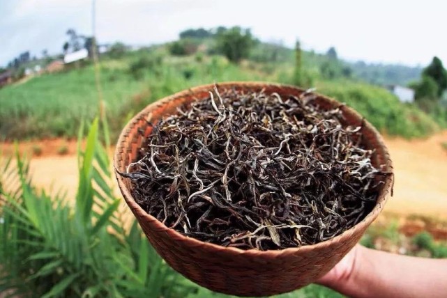 普洱生茶和普洱熟茶的区别是什么？各有什么优缺点？