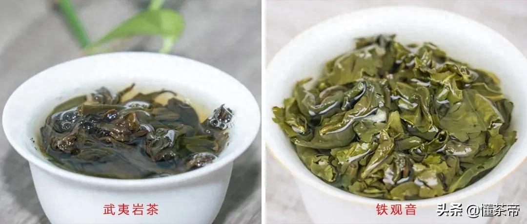 大红袍和铁观音的茶韵有何不同？