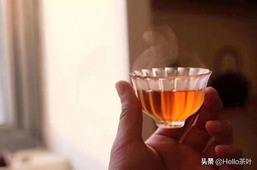 出差喝什么茶最好 ？这些要知道